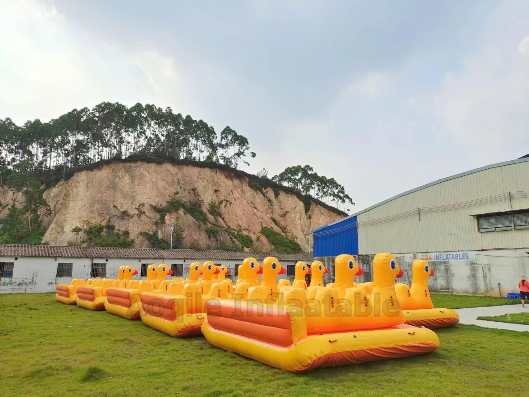 Equipo de juego inflable de los deportes acuáticos del barco remolcable inflable del pato de la forma animal de encargo