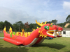 Barco inflable rojo del dragón del solo carril del juego del remolque de la agua caliente, barco inflable modificado para requisitos particulares del dragón